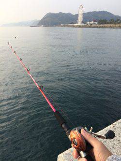 おのころ愛ランド周辺　胴突で魚種多彩に楽し…